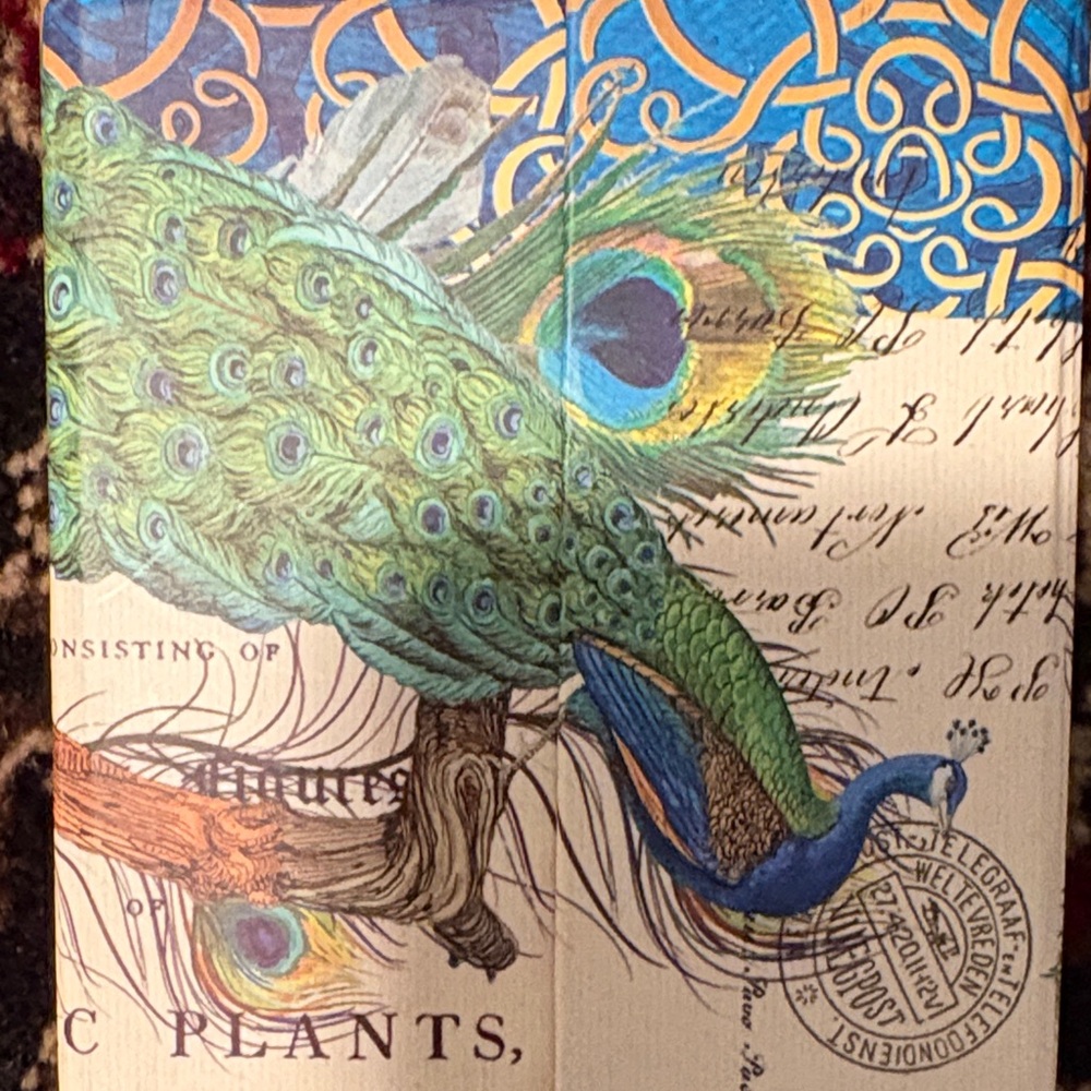 ~Michel Design Works~ Peacock Design Bird Note Block - Picture 3 of 4